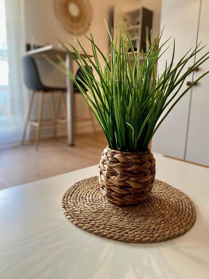 Cosy Break Jardins Des Plantes Apartment Le Mans Luaran gambar
